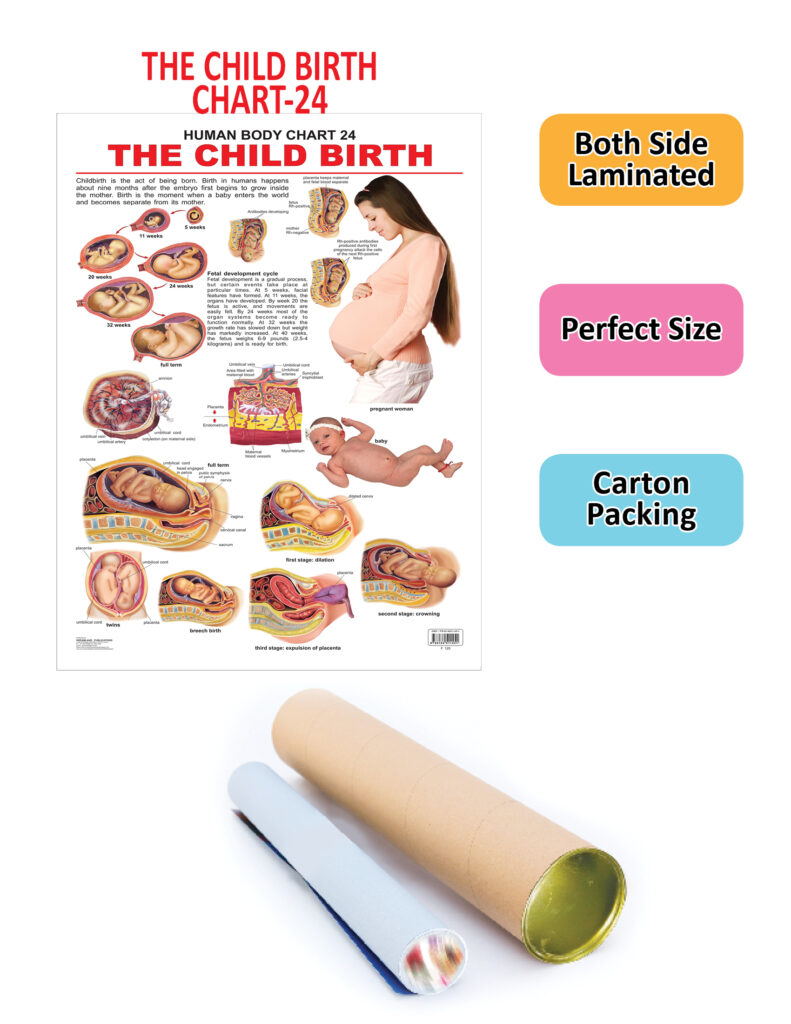 The Child Birth