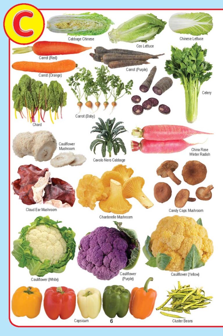 My Jumbo Vegetables Pictionary