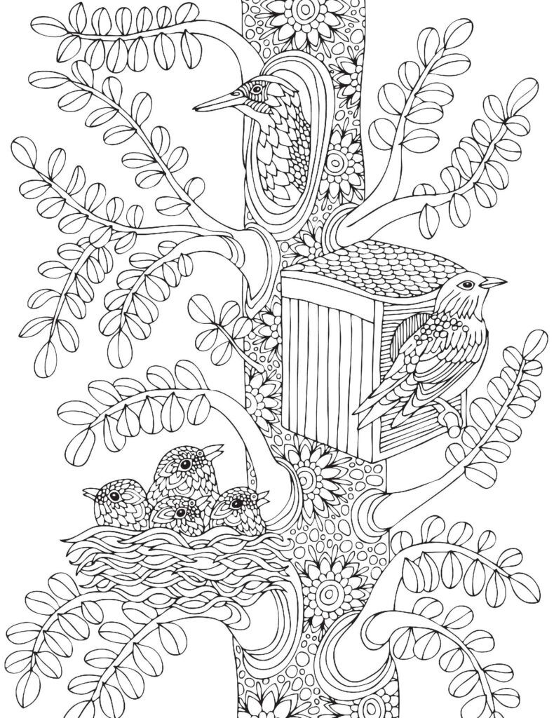 Nature Colouring Book for Adults