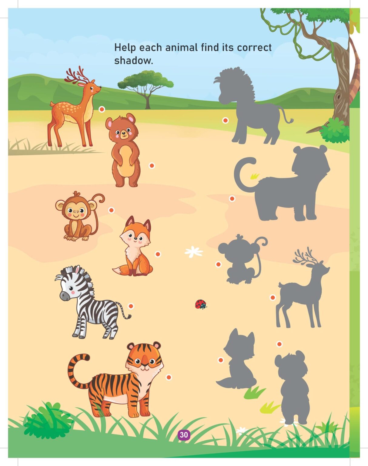 Jungle Activity and Colouring Book - Die Cut Animal Shaped Book