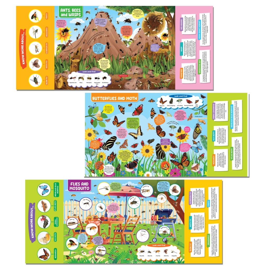 Insects and Reptiles Discovering Delights Flap Book for Kids Age 4 - 10 ...